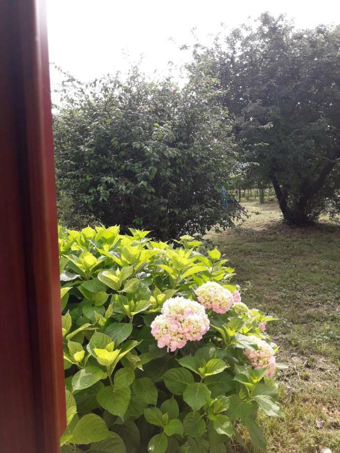 Tenuta Crescentini-Vallemura ,Appartamenti Con Entrata Indipendente San Dona di Piave Exterior photo